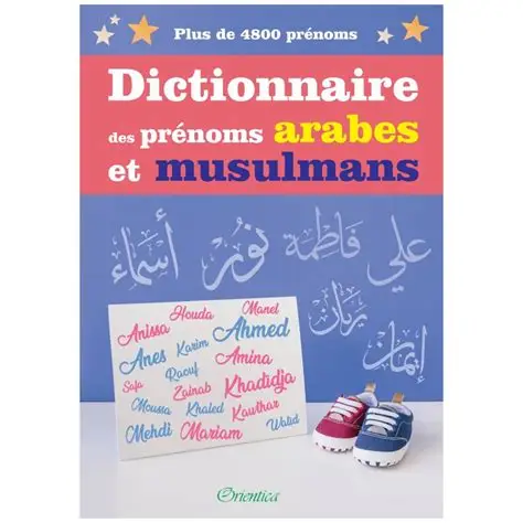 DICTIONNAIRE