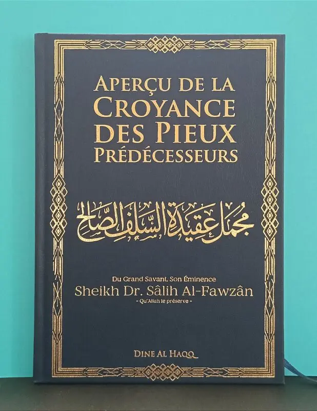 aperçu de la croyance