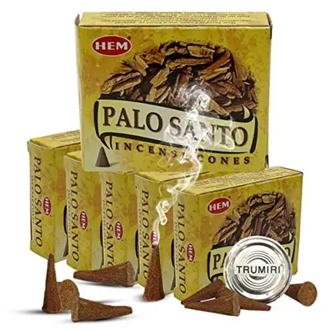 PALO SANTO